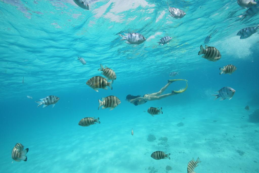 http://greatpacifictravels.com.au/hotel/images/hotel_img/11558323136Sofitel Bora Bora Private island2.jpg
